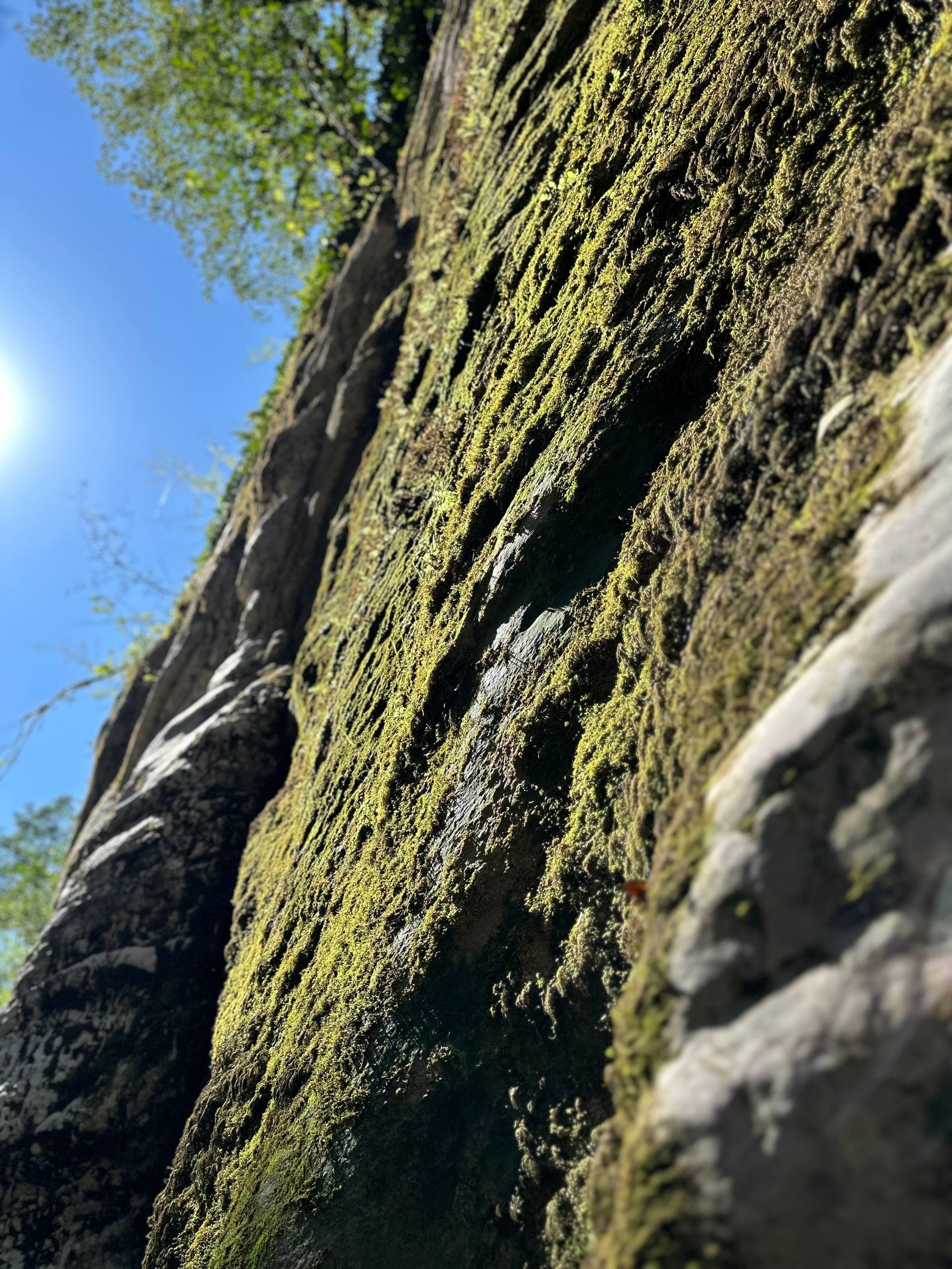 Каньонинг в Сочи , Белые Скалы - фото 5