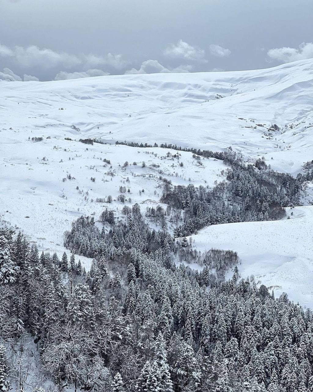 Гузерипль и Лаго-Наки