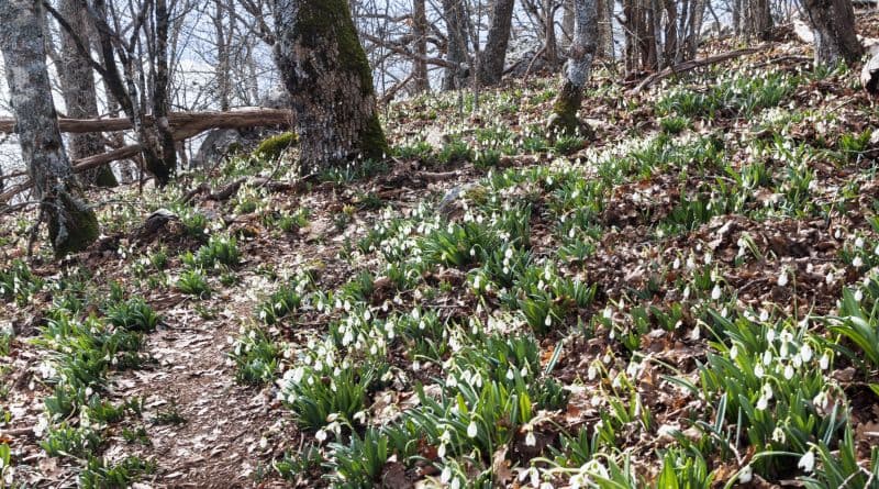 Поход на Аю-Даг (Место Силы). Тайны и загадки горы Медведь - фото 8