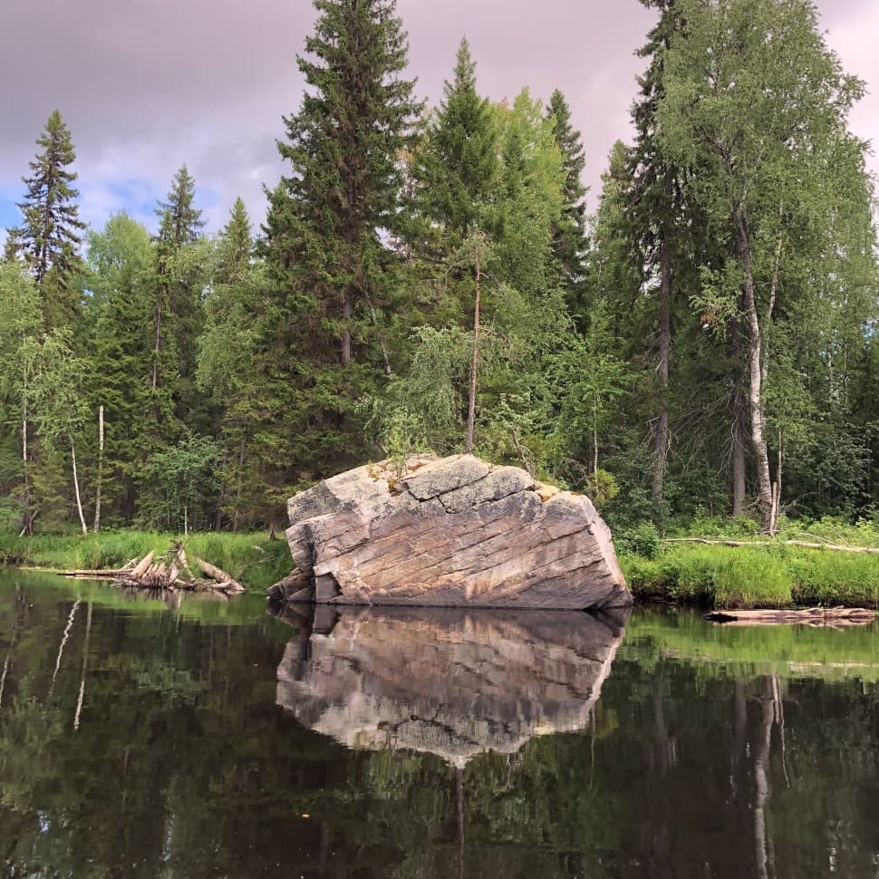 Сплав по Онеге - фото 3