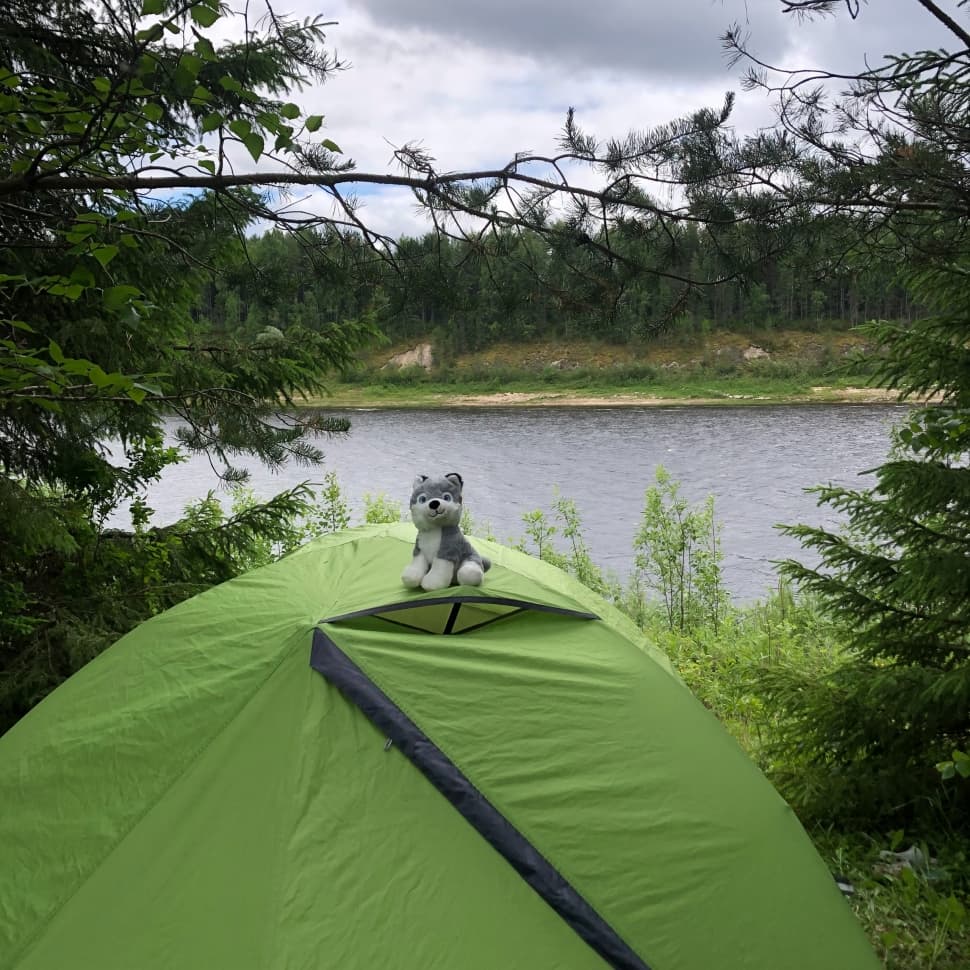 Сплав по Онеге - фото 7