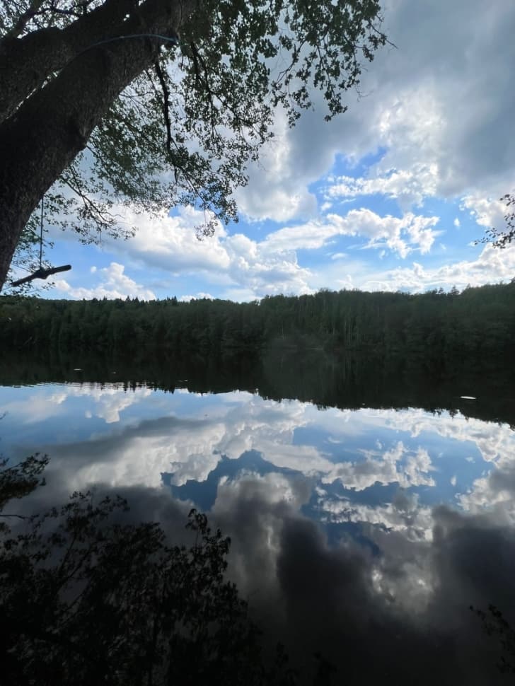 Экскурсия по национальному парку Марий Чодра - фото 1