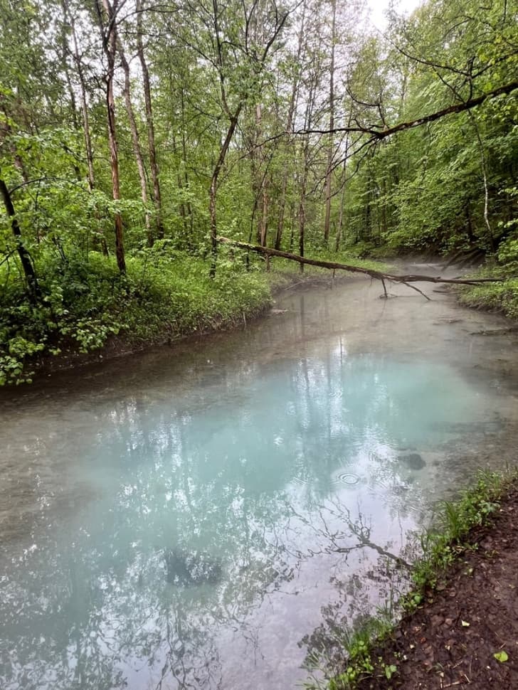 Экскурсия по национальному парку Марий Чодра - фото 4
