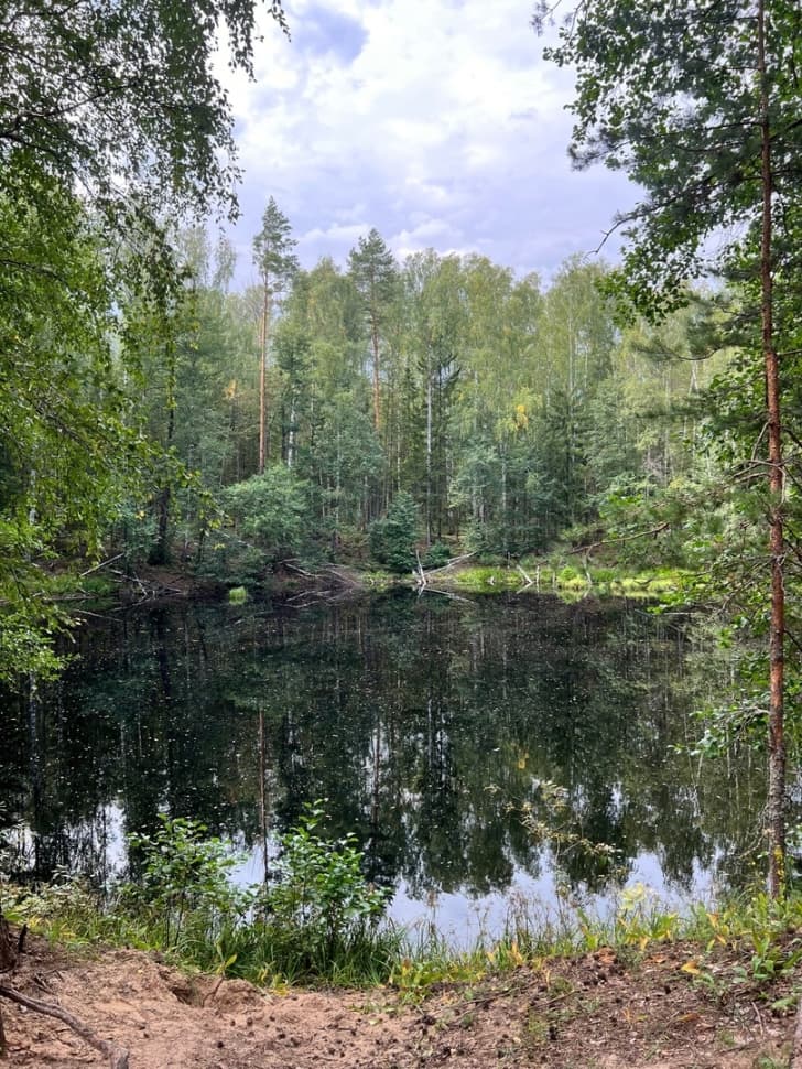 Экскурсия по национальному парку Марий Чодра - фото 6