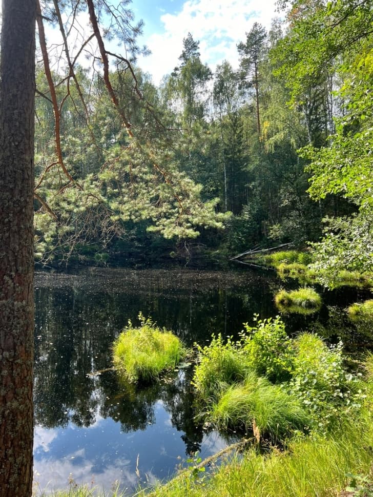 Экскурсия по национальному парку Марий Чодра - фото 9