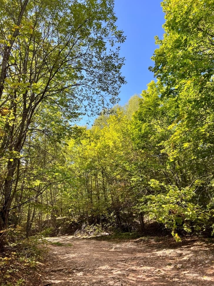 Экскурсия по национальному парку Марий Чодра - фото 10