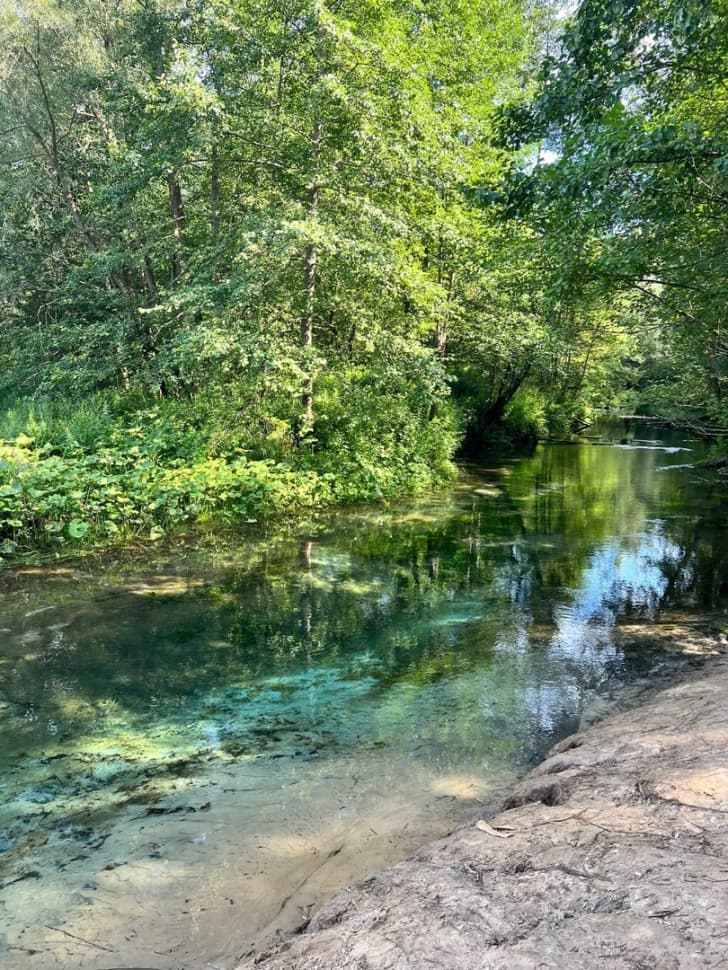 Экскурсия по национальному парку Марий Чодра - фото 13