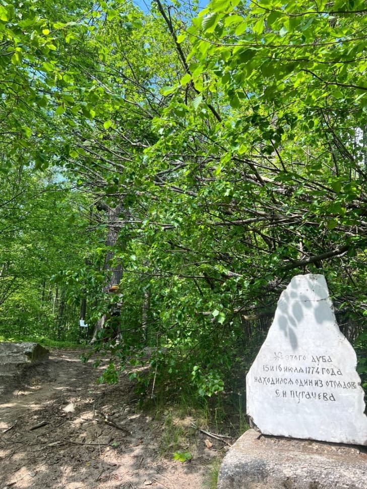 Экскурсия по национальному парку Марий Чодра - фото 15