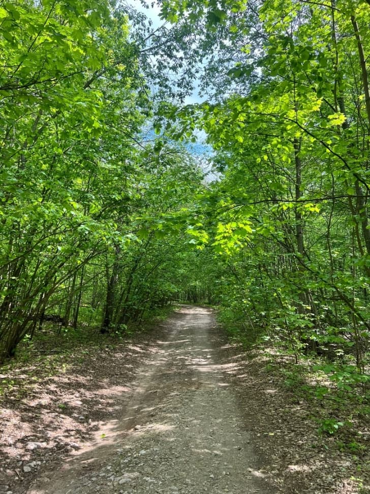 Экскурсия по национальному парку Марий Чодра - фото 19