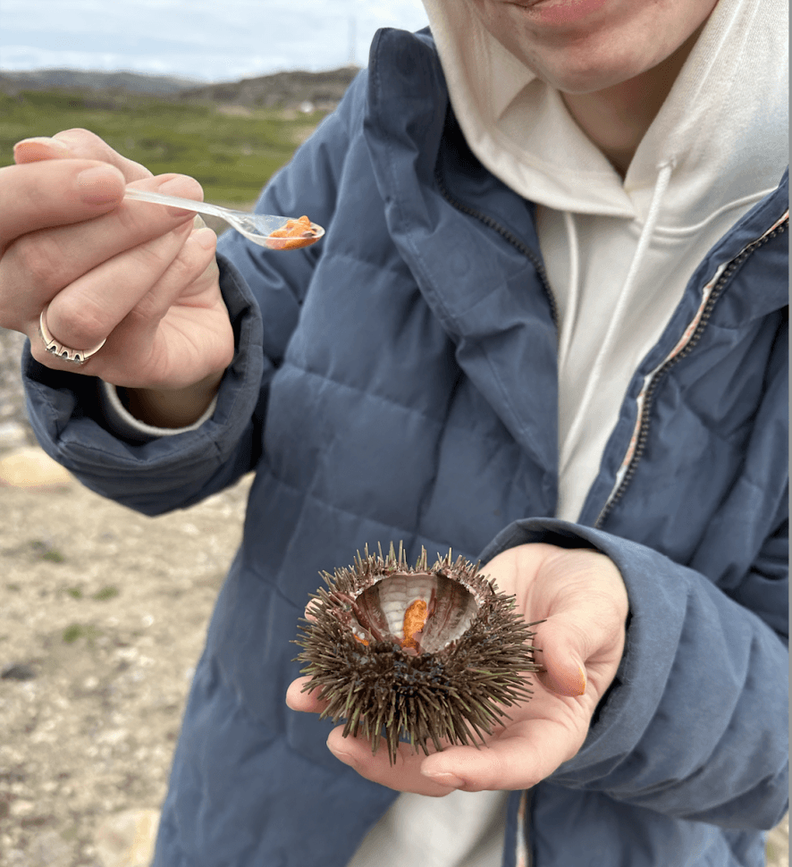 За китами на Кольский - фото 3