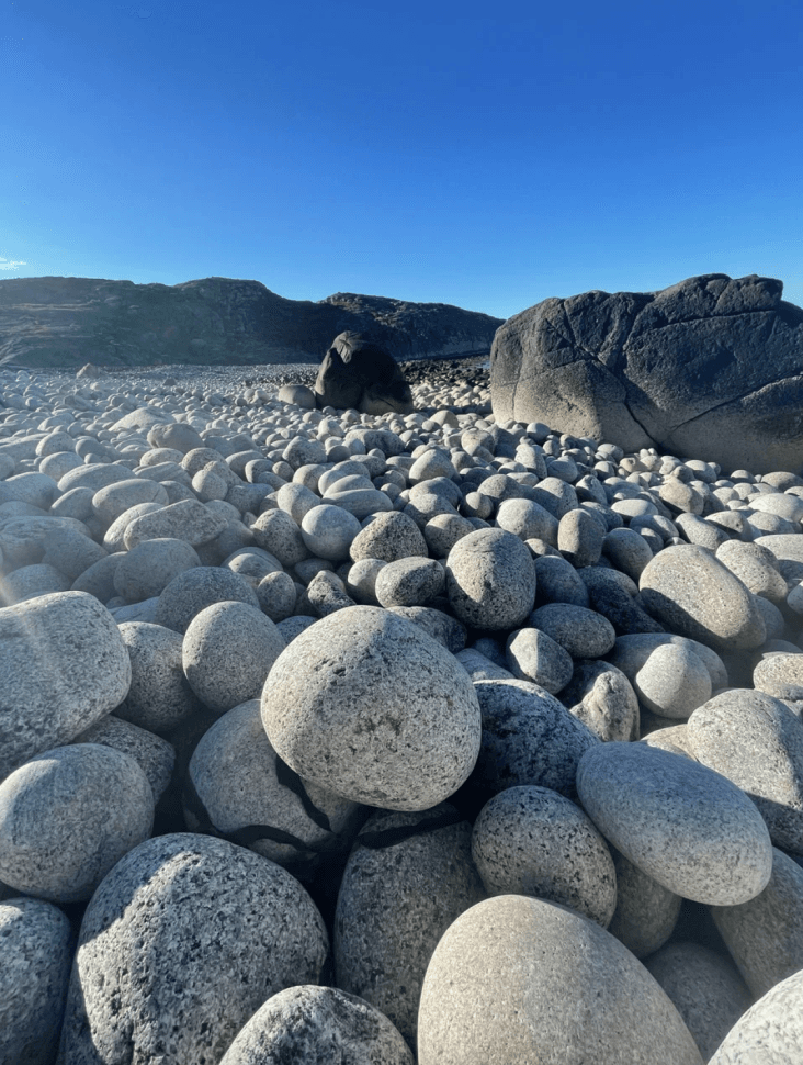 За китами на Кольский - фото 6