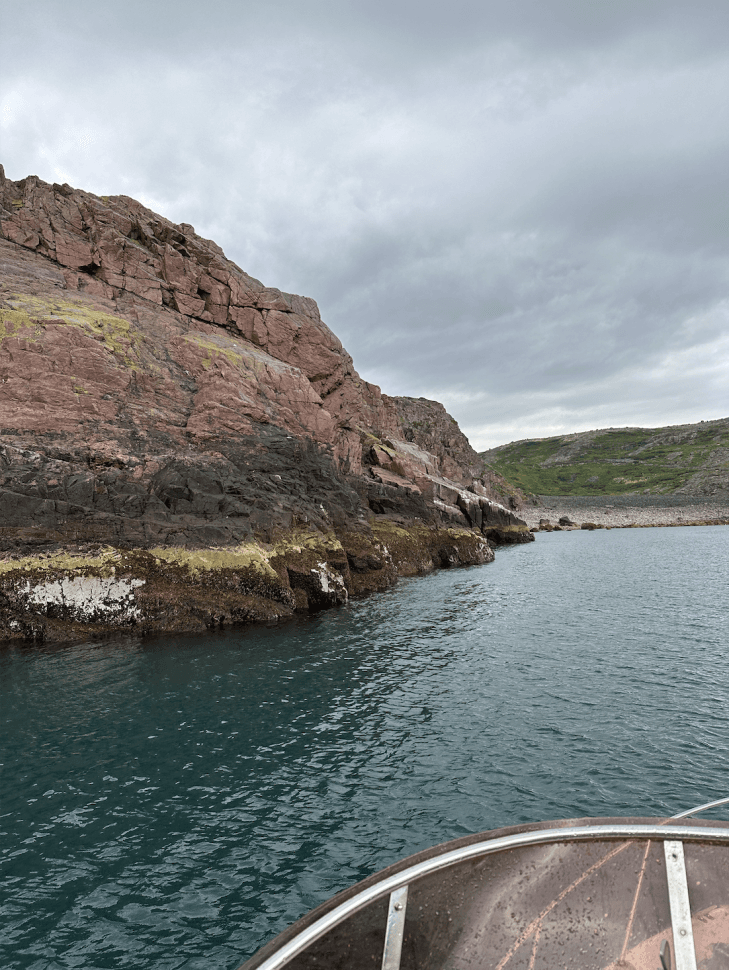 За китами на Кольский - фото 10