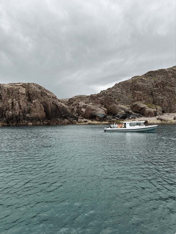 За китами на Кольский - фото 12