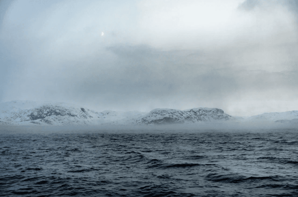 На поиски китов! - фото 4