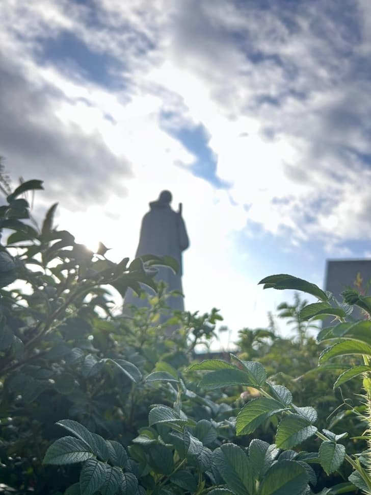 На поиски китов! - фото 8