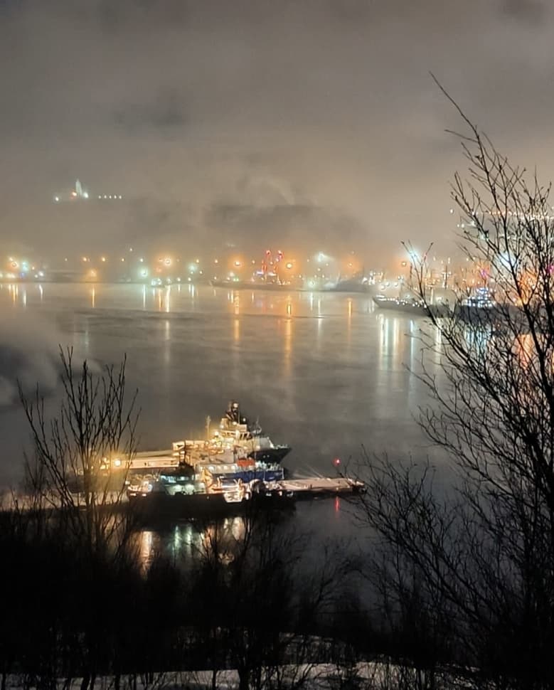 На поиски китов! - фото 9