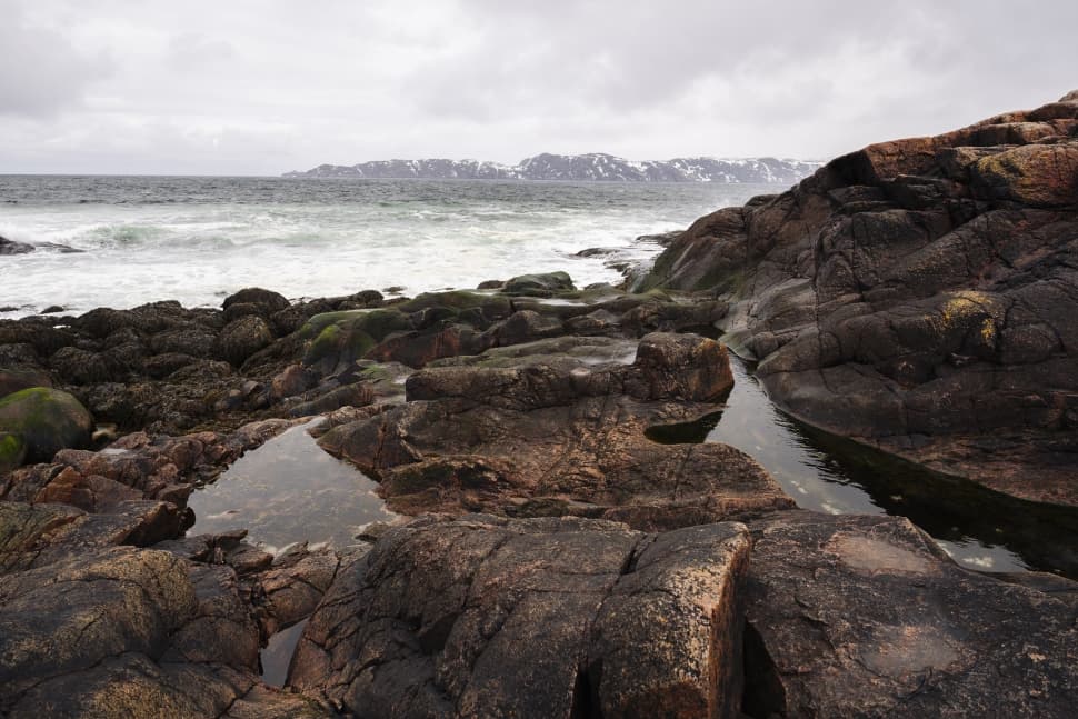 На поиски китов! - фото 11