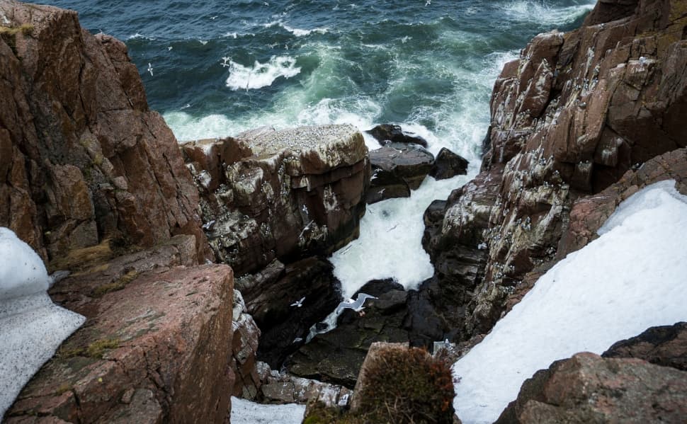 На поиски китов! - фото 12