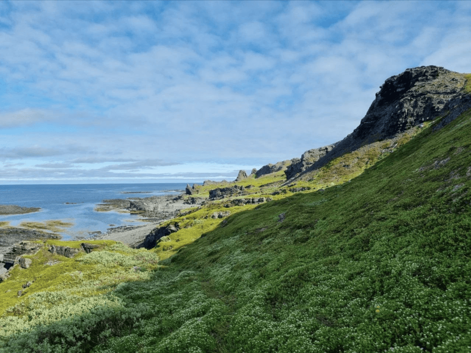 Полуострова Средний и Рыбачий - фото 6