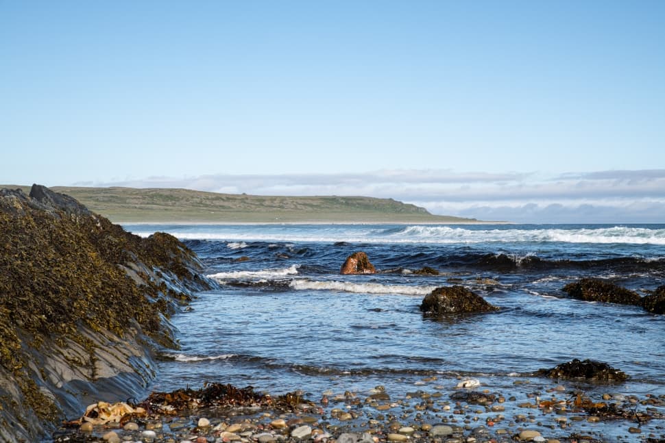 Полуострова Средний и Рыбачий - фото 13