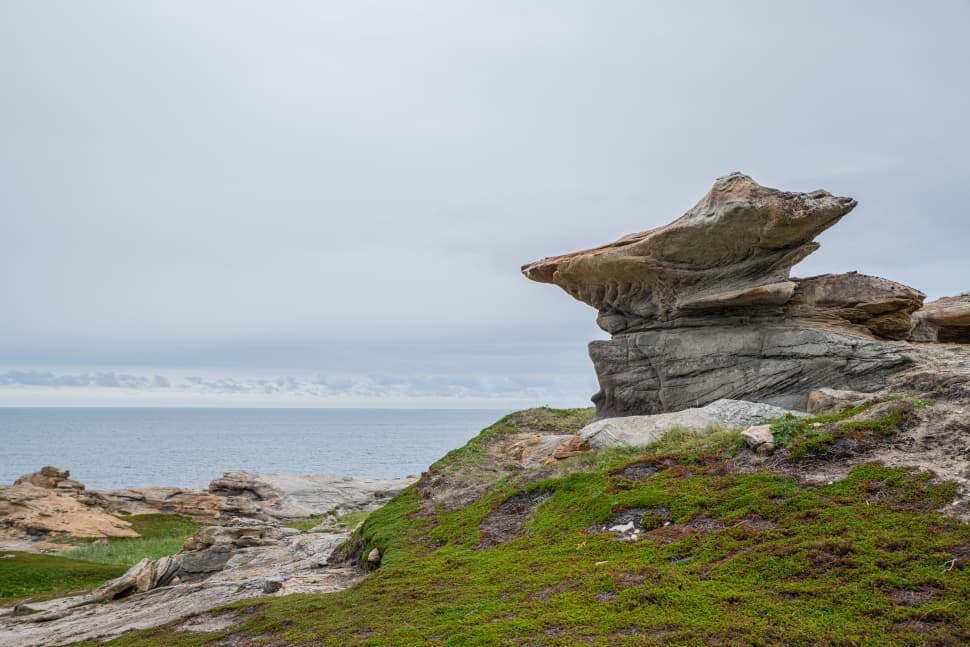 Полуострова Средний и Рыбачий - фото 15