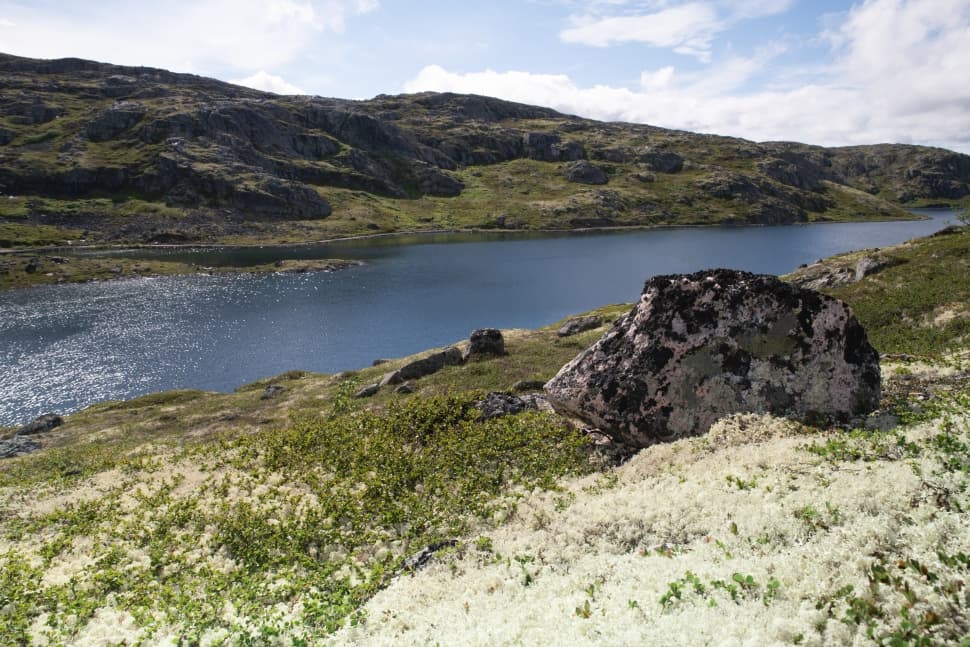 Полуострова Средний и Рыбачий - фото 16