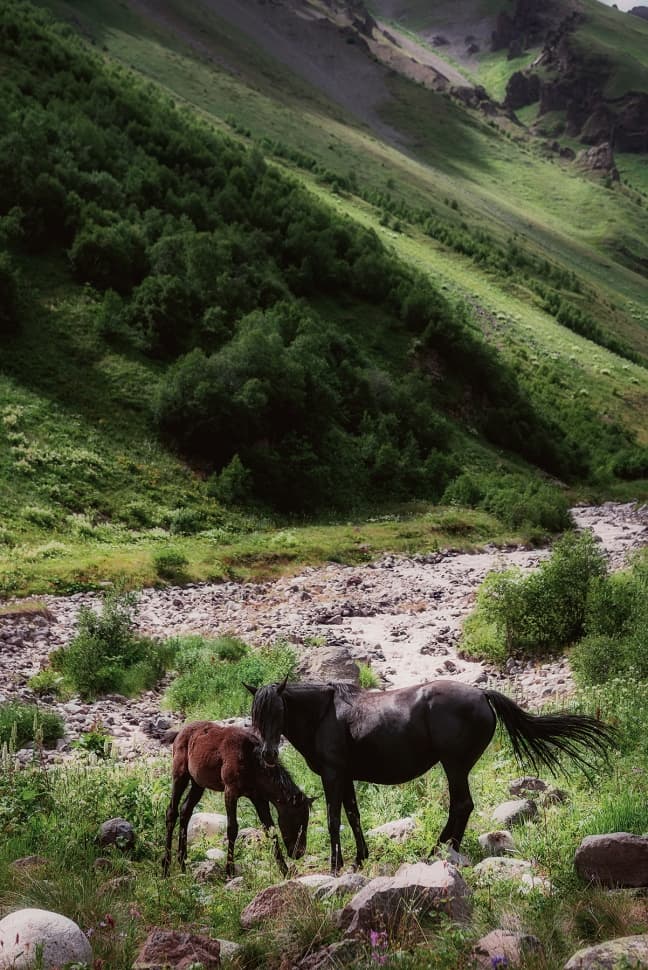 Тропами Приэльбрусья - фото 1