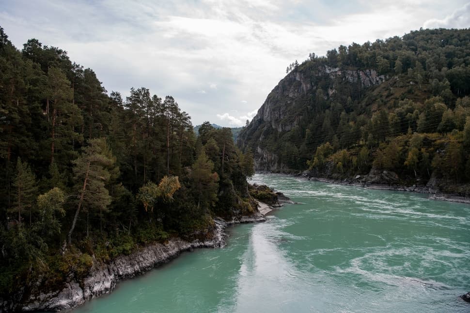 Алтайские приключения - фото 5