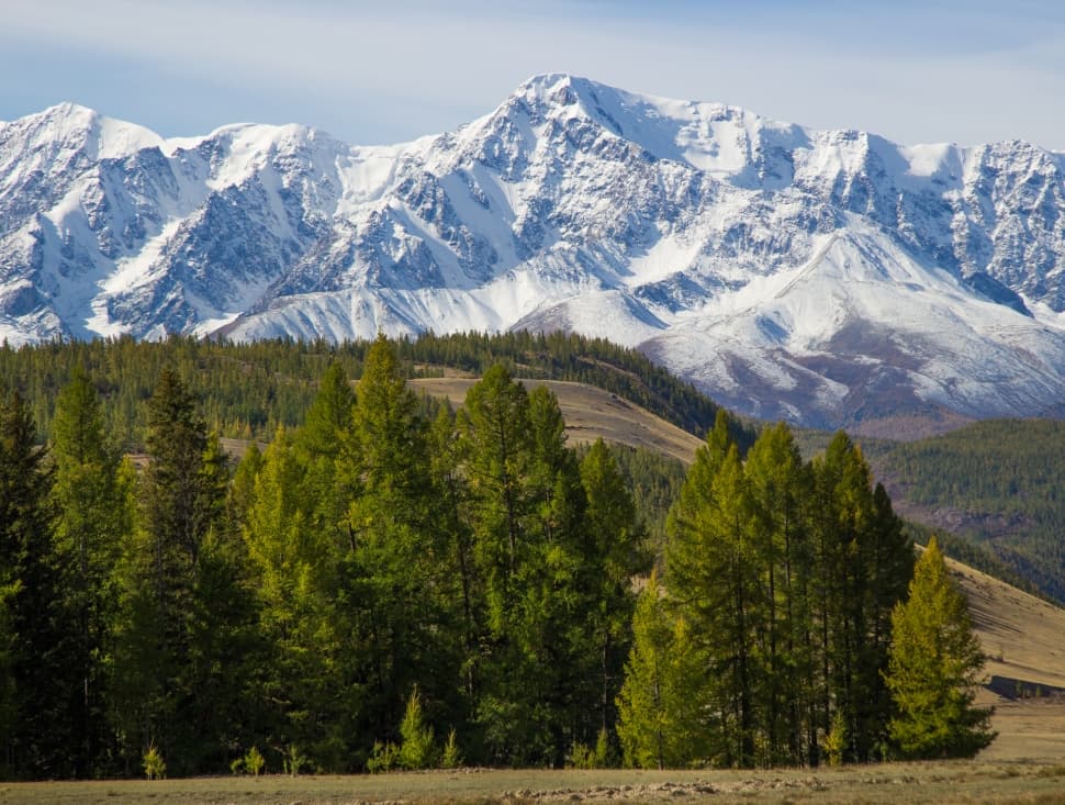 Великий шёлковый путь