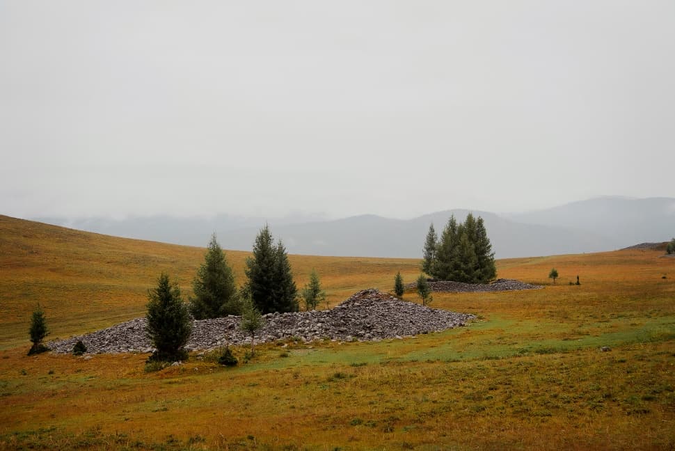 Великий шёлковый путь - фото 10