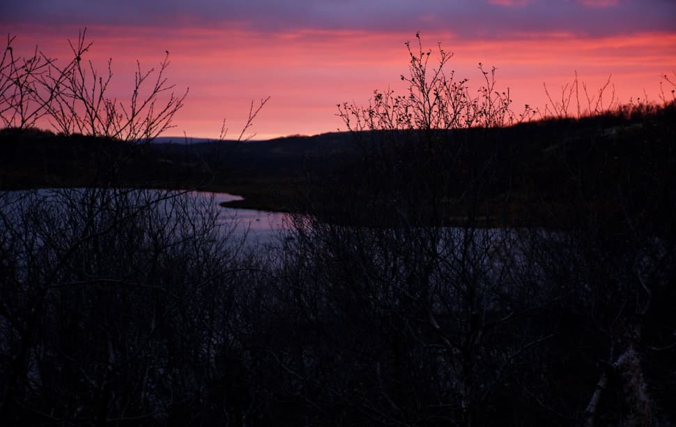 Кольский без рюкзаков: Териберка, Хибины и Ловозерские тундры - фото 5