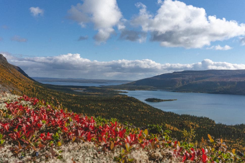 Кольский без рюкзаков: Териберка, Хибины и Ловозерские тундры - фото 11