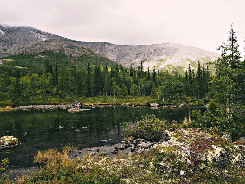 Кольский без рюкзаков: Териберка, Хибины и Ловозерские тундры - фото 12