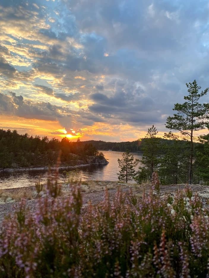 Ладожские шхеры - жемчужина Карелии. Байдарочный поход с трансфером из Петербурга - фото 7