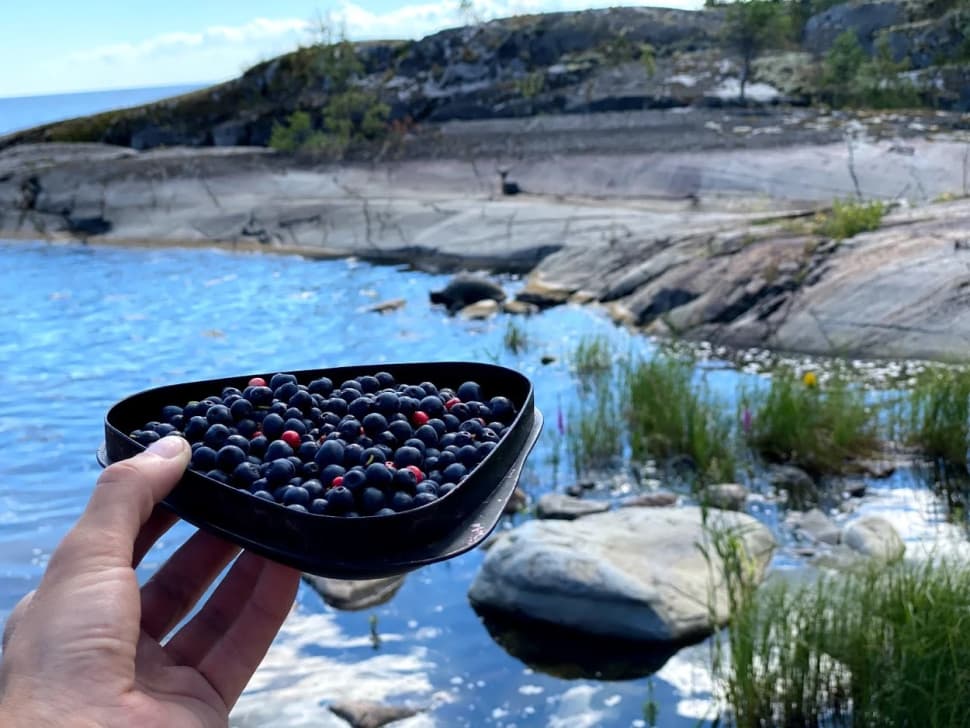 Ладожские шхеры - жемчужина Карелии. Байдарочный поход с трансфером из Петербурга - фото 13