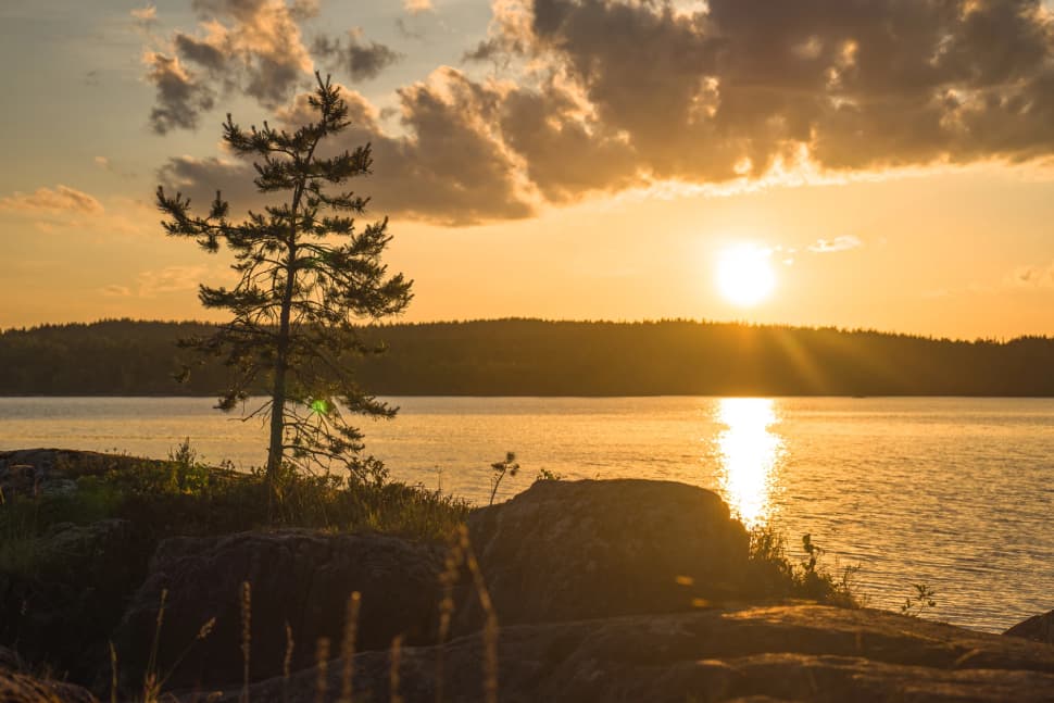 Ладожские шхеры - жемчужина Карелии. Байдарочный поход с трансфером из Петербурга - фото 22