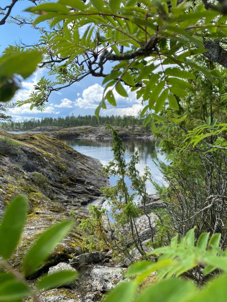 Ладожские шхеры - жемчужина Карелии. Байдарочный поход с трансфером из Петербурга - фото 24
