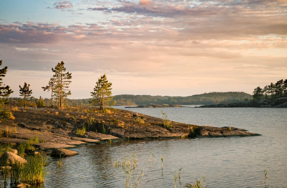 Ладожские шхеры - жемчужина Карелии. Байдарочный поход с трансфером из Петербурга - фото 30