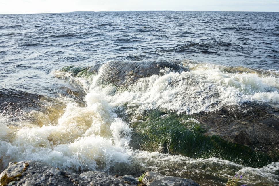 Ладожские шхеры - жемчужина Карелии. Байдарочный поход с трансфером из Петербурга - фото 32