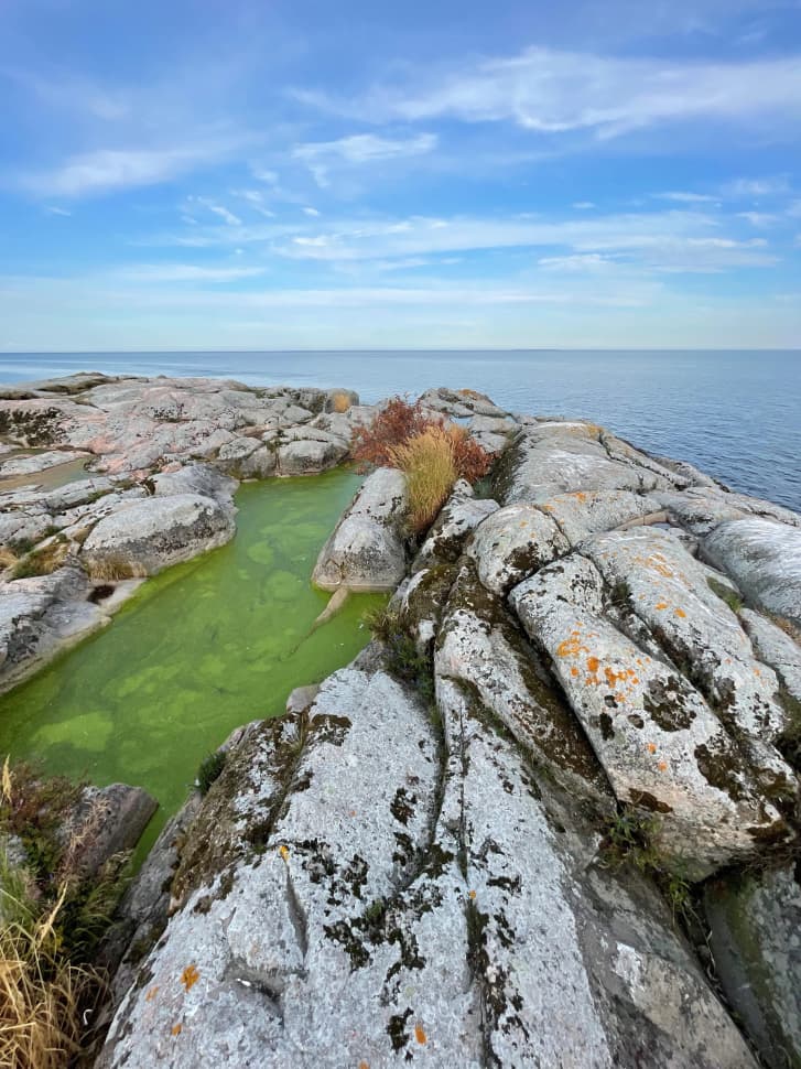Ладожские шхеры - жемчужина Карелии. Байдарочный поход с трансфером из Петербурга - фото 35