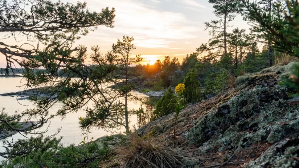 Ладожские шхеры из Лумиваары. Байдарочный поход с трансфером из Петербурга - фото 13