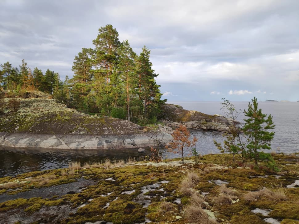 Ладожские шхеры из Лумиваары. Байдарочный поход с трансфером из Петербурга - фото 18