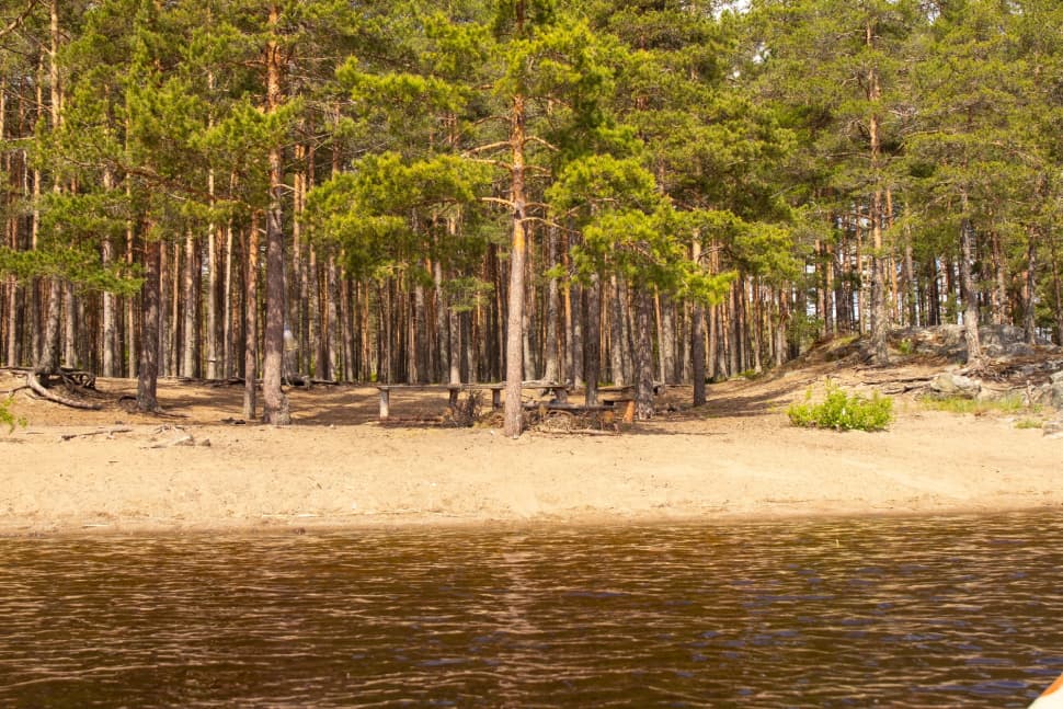 Ладожские шхеры из Лумиваары. Байдарочный поход с трансфером из Петербурга - фото 21