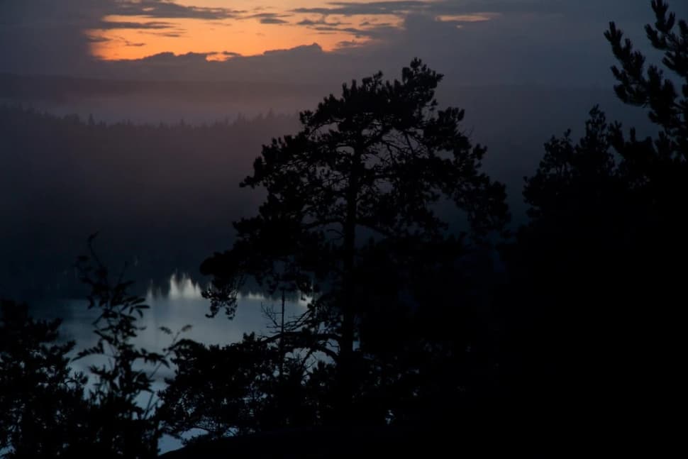 Ястребиное. Поход из Петербурга со скалолазанием и тарзанкой - фото 5
