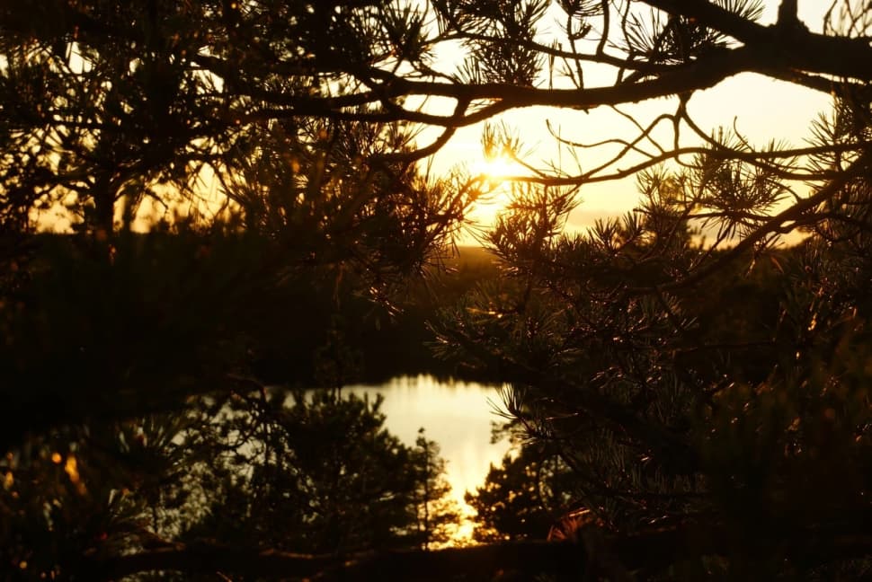 Ястребиное. Поход из Петербурга со скалолазанием и тарзанкой - фото 7