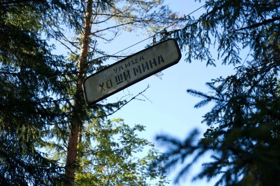 Ястребиное. Поход из Петербурга со скалолазанием и тарзанкой - фото 1