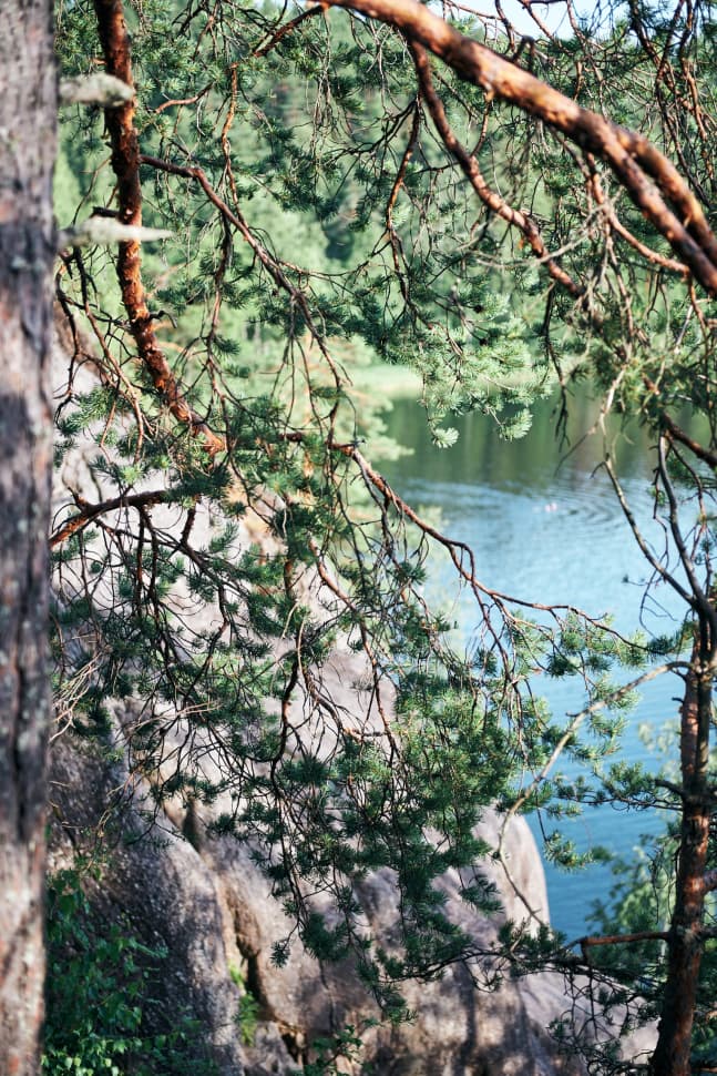 Ястребиное. Поход из Петербурга со скалолазанием и тарзанкой - фото 14