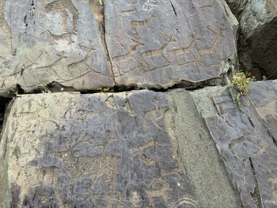 «Осеннее дыхание Алтая» - фото 4