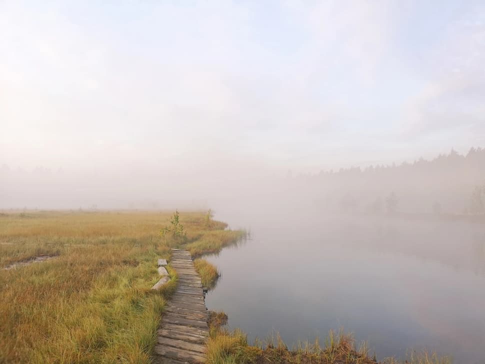 Звенигородский заказник и карьер Сима. Однодневный поход в Подмосковье - фото 4