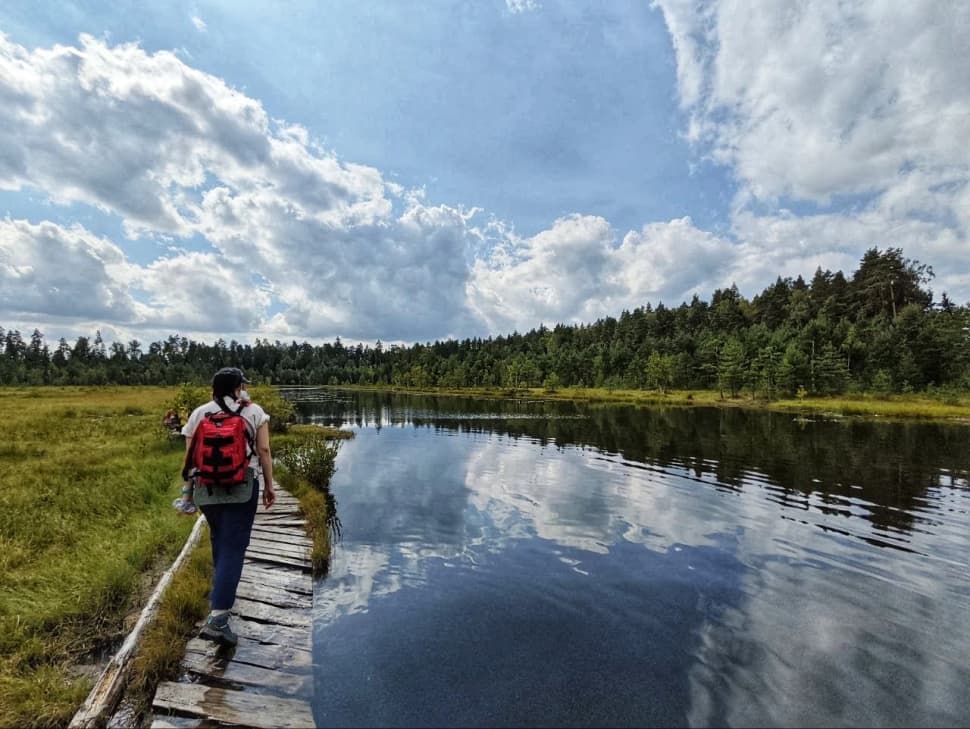 Звенигородский заказник и карьер Сима. Однодневный поход в Подмосковье - фото 5